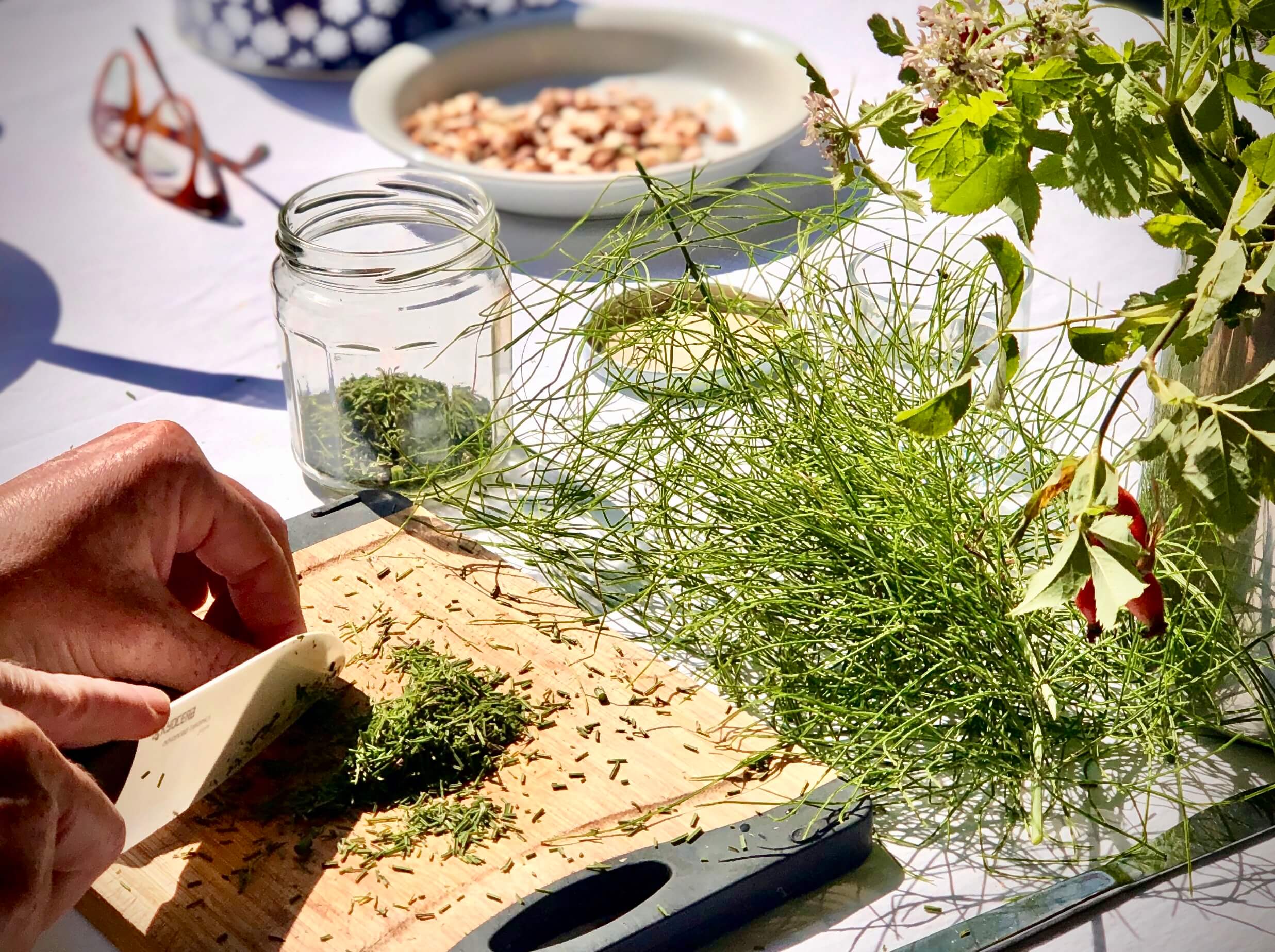 Wildpflanzen & Ayurveda Retreat, Juli 26