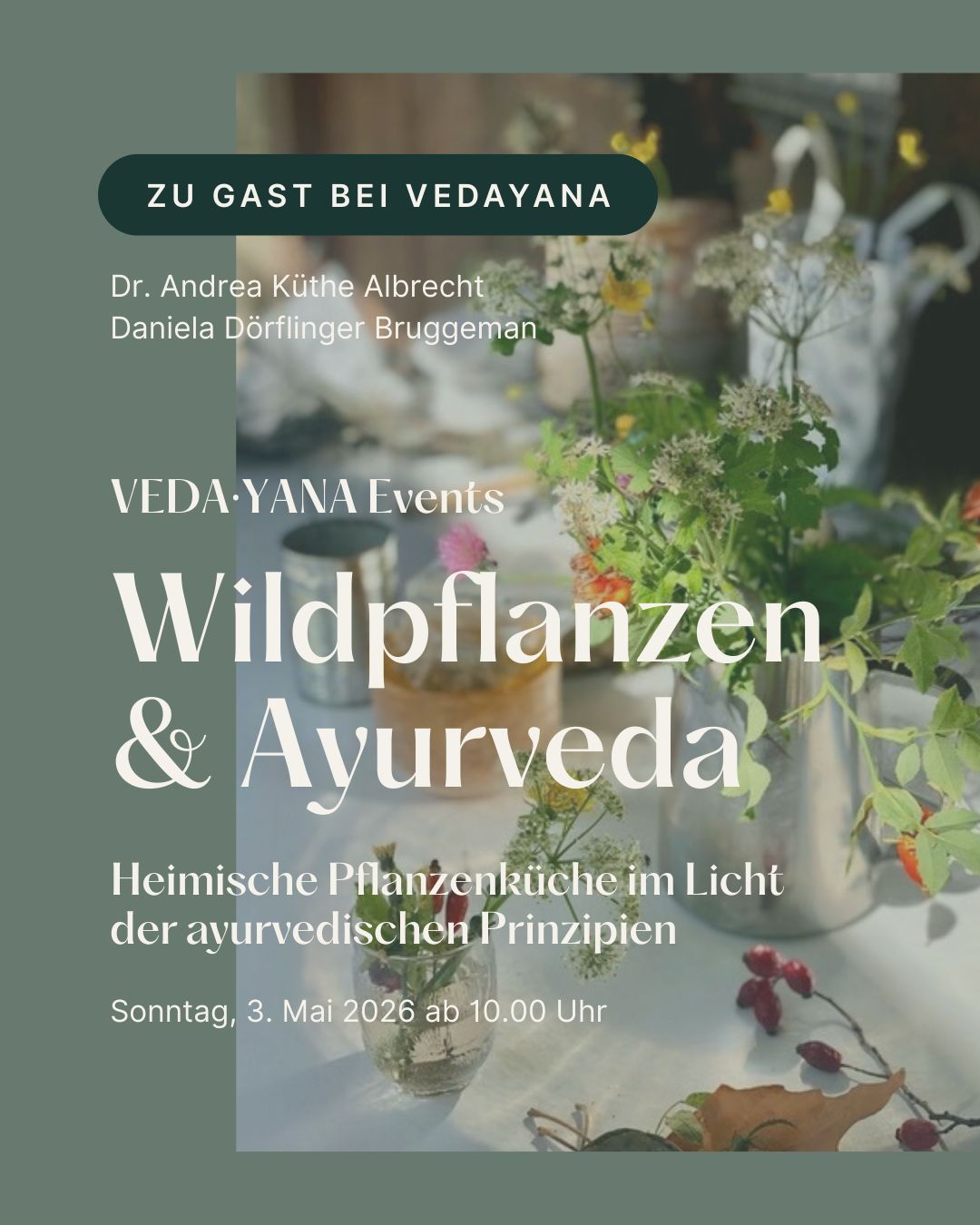 Tagesseminar: Wildpflanzen & Ayurveda – 3.5.26 in Teufen
